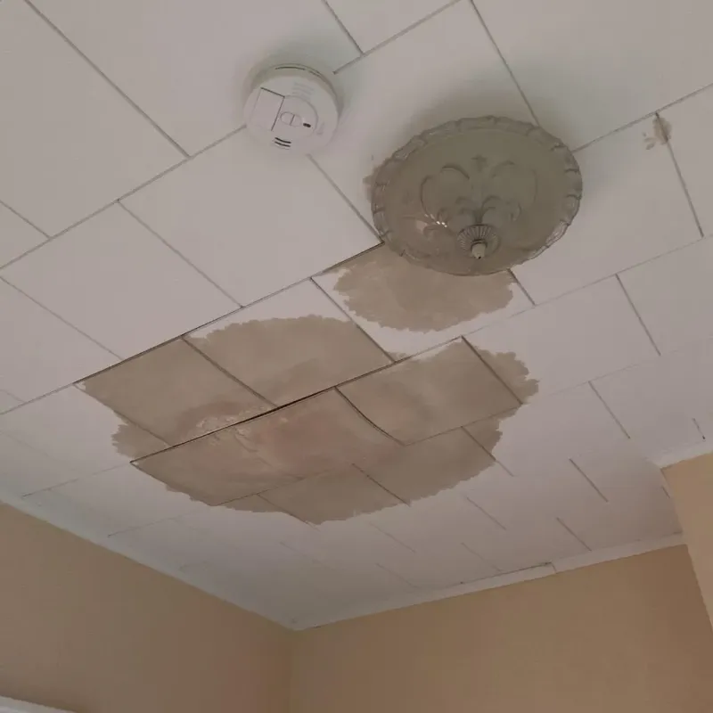 Ceiling Water Damage Repair in Hood County, TX